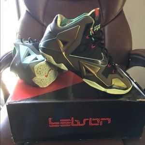 Nike LeBron 11 Kings Pride